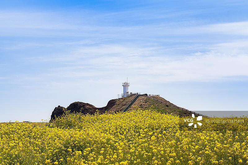 灯塔，涉地岬，济州岛图片素材
