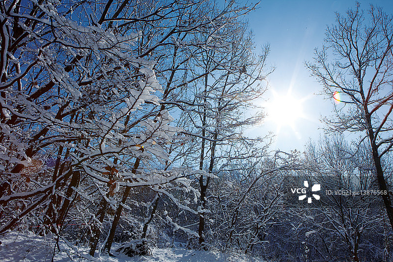 冬季场景：韩国京畿道南杨州市图片素材
