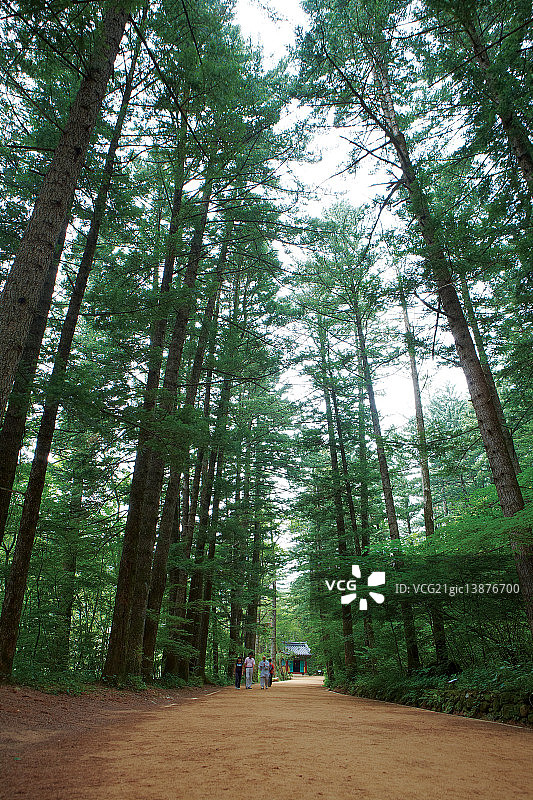 五台山国立公园，平昌，江原道图片素材