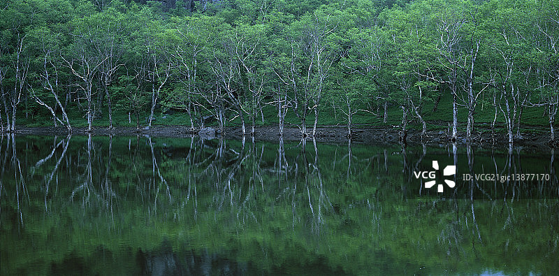 微观世界，朝鲜白头山图片素材