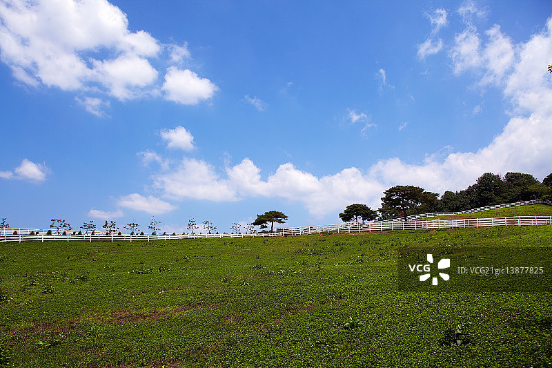 种马公园图片素材