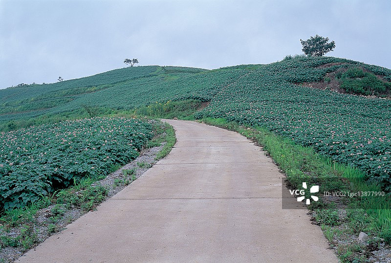 江原道江陵安班德农田图片素材