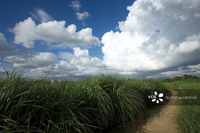 首尔麻浦天空公园图片素材