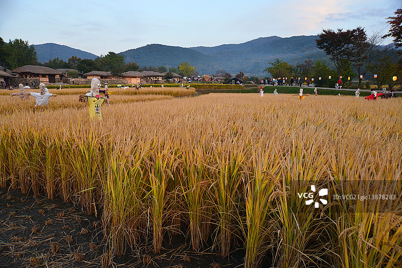 韩国牙山市瓮岩里民俗村农场景观图片素材