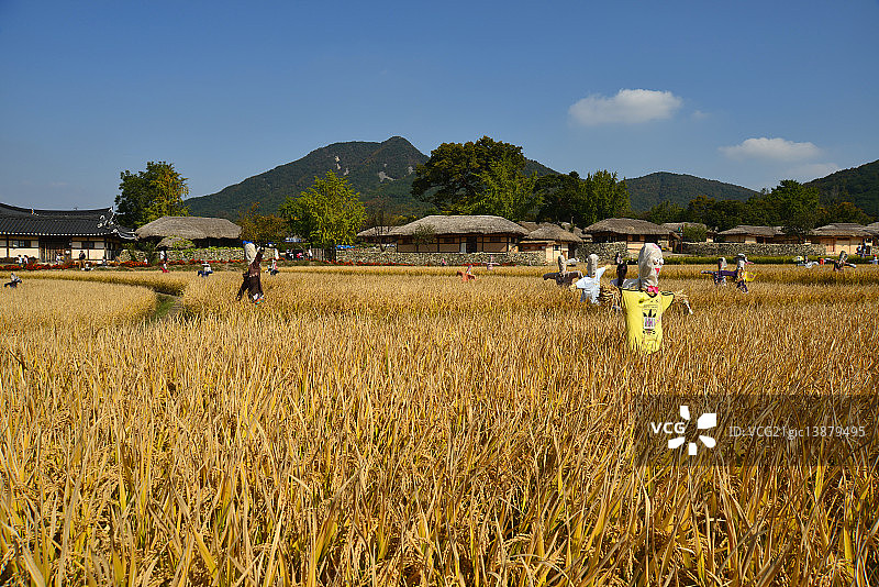 韩国牙山市瓮岩里民俗村农场景观图片素材