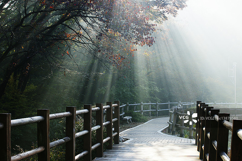 韩国京畿道抱川韩国国立树木园图片素材