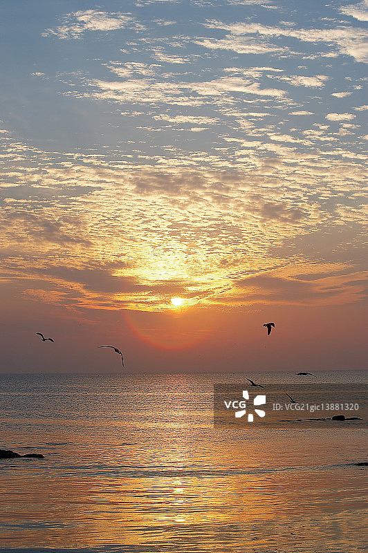浦项市迎日湾日出图片素材