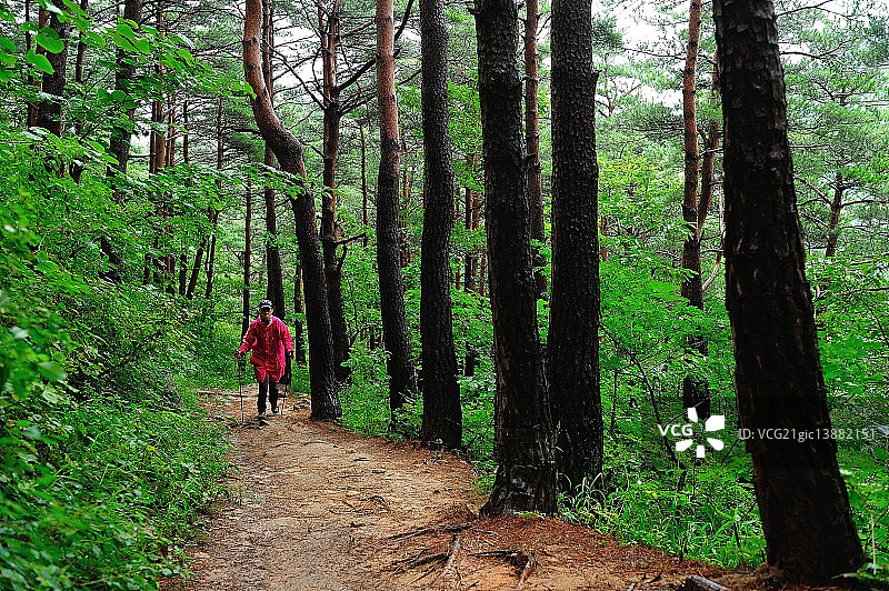 江陵市的巨石路图片素材