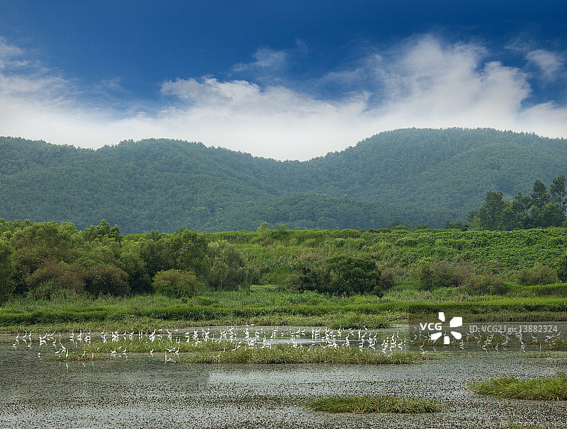 庆尚南道昌宁郡Upo-neup图片素材