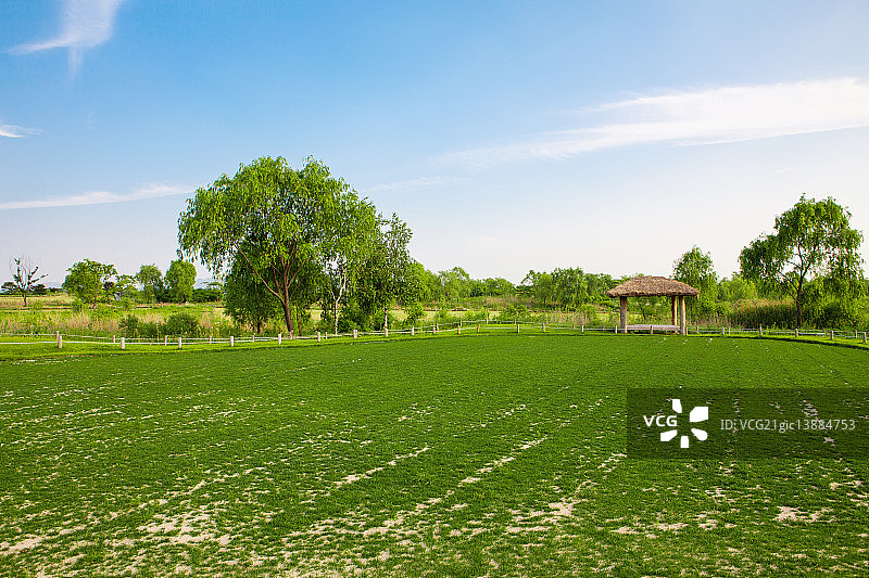 首尔天空公园图片素材