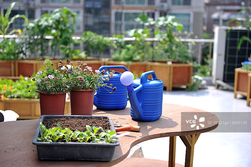 菜园和工具图片素材