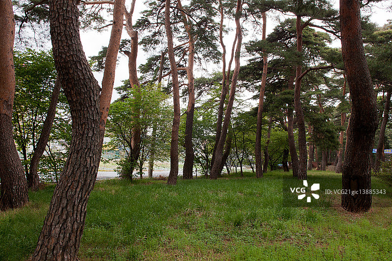 江原道江陵市图片素材