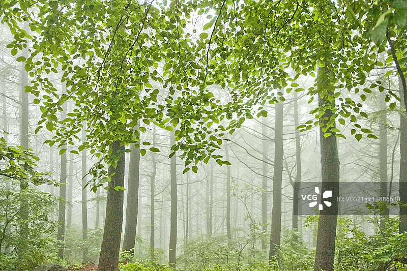 南杨州市天摩山云雾美景，京畿道图片素材