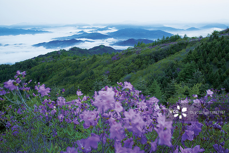 智异山国家公园，全罗北道南原图片素材