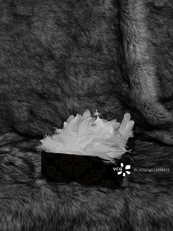 皮毛与羽毛图片素材