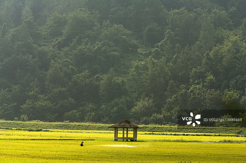 忠清北道槐山郡图片素材