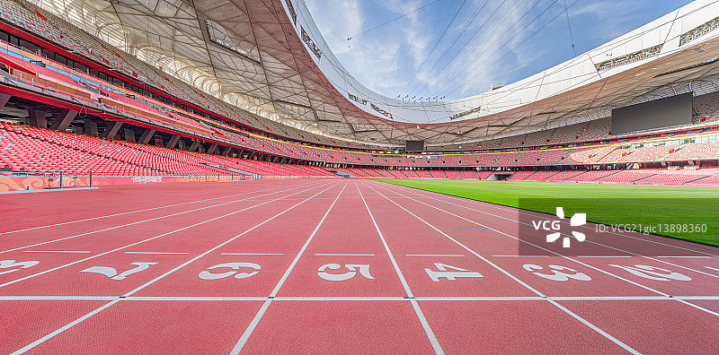 InsideTheNest图片素材