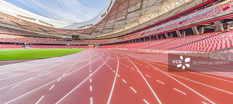 InsideTheNest图片素材