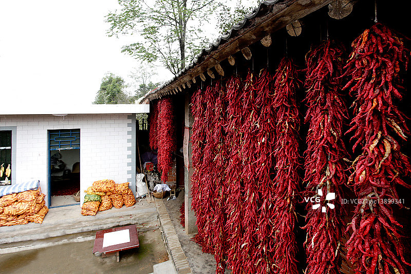 河南省卢氏县晾晒红辣椒图片素材