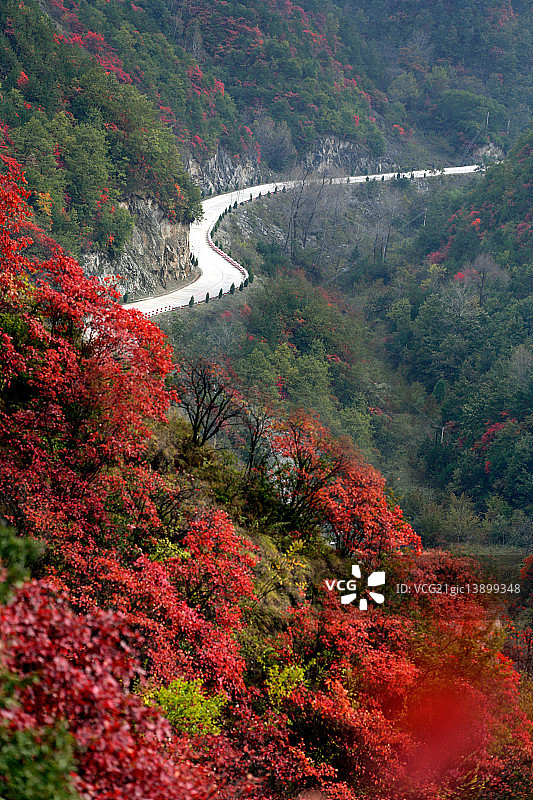 河南省卢氏县秋景图片素材