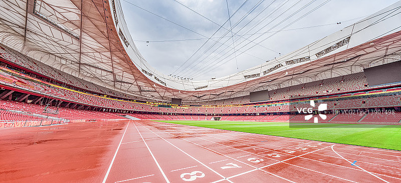 InsideTheNest图片素材