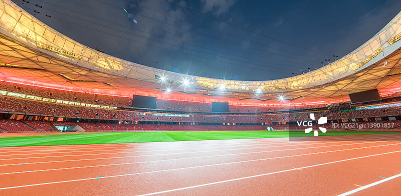 InsideTheNest图片素材