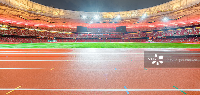 InsideTheNest图片素材