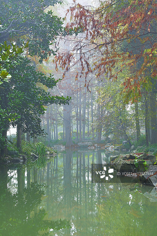上海植物园图片素材