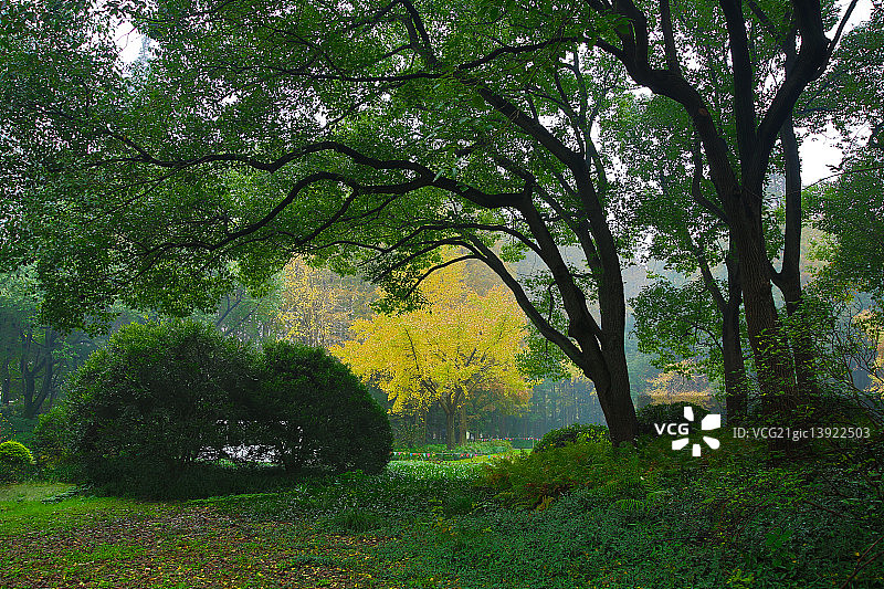上海植物园图片素材