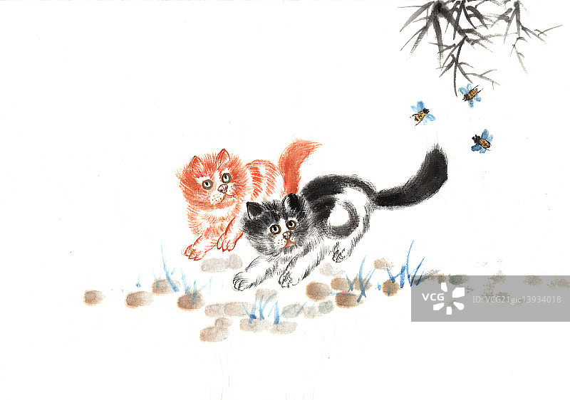 猫咪百态图片素材