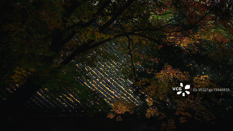 青岛崂山太清宫图片素材