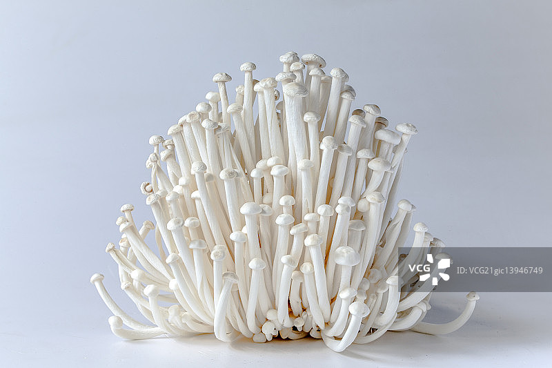 金针菇图片素材