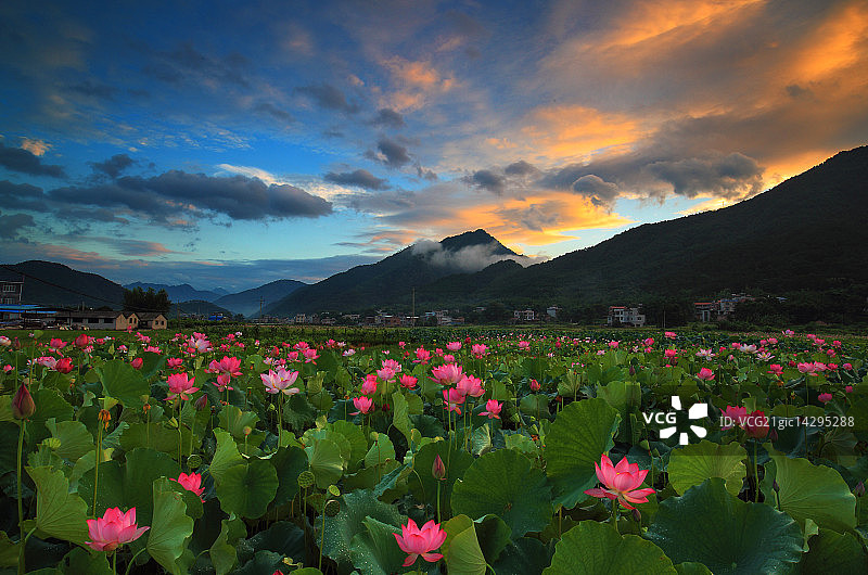 山东省菏泽市风光图片素材