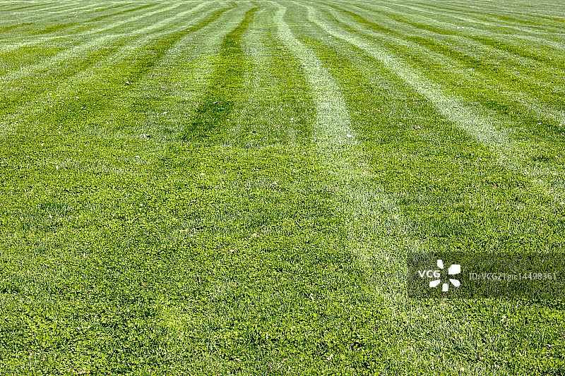 草地线条图片素材