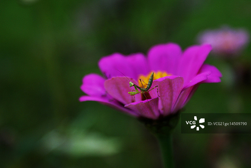 小小生活11图片素材