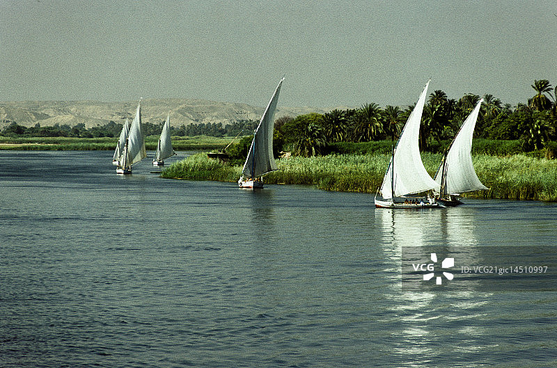 尼罗河上的三角帆船图片素材