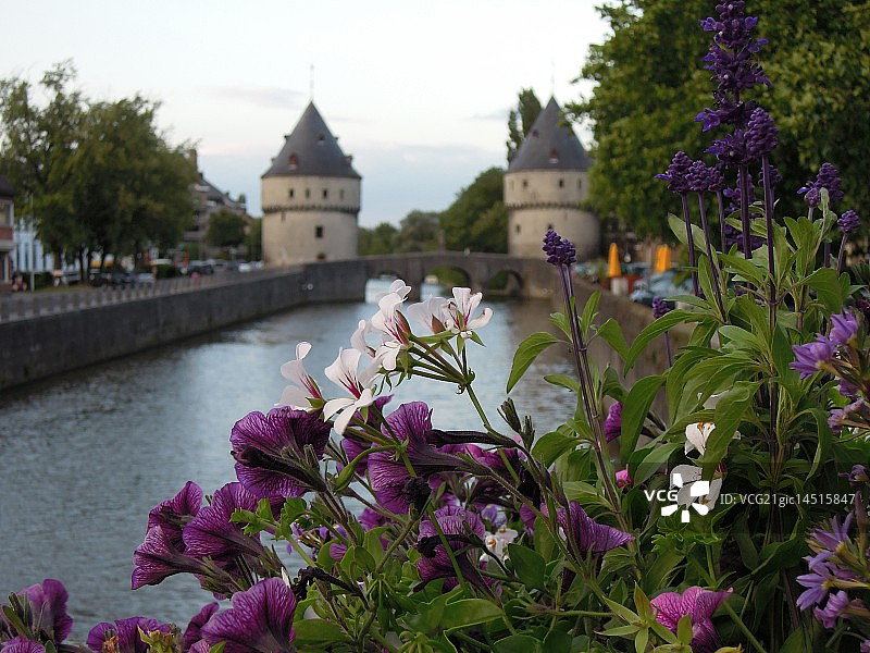 河畔花卉图片素材