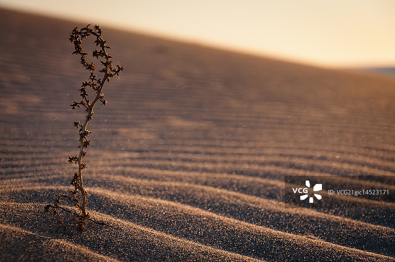 加塔角沙丘图片素材