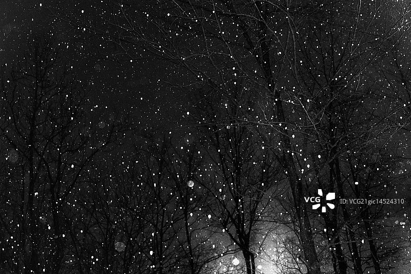 十二月的雪图片素材