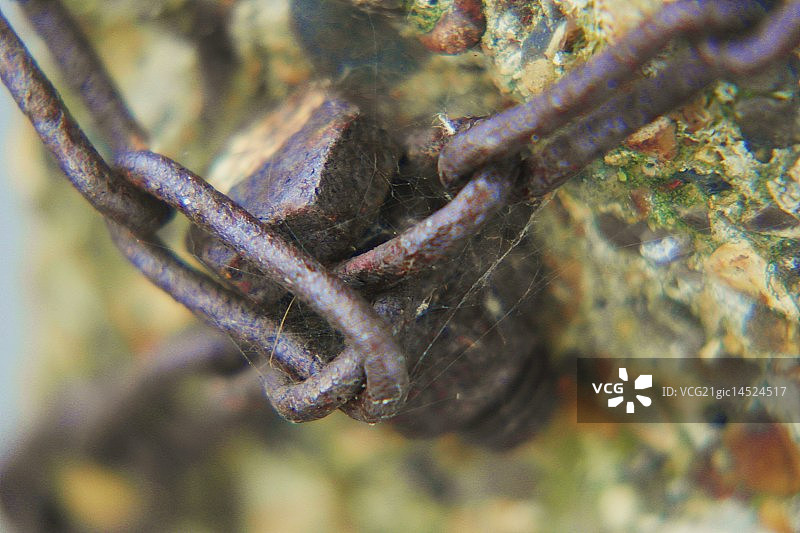 螺母和螺栓图片素材