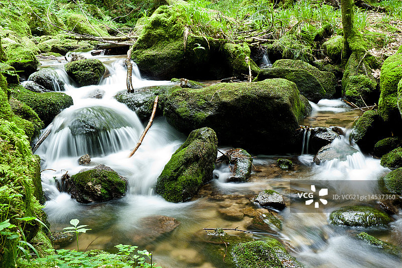 黑森林图片素材