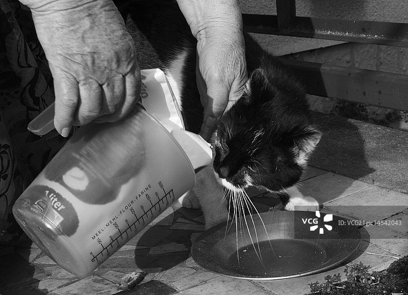 牛奶来了…图片素材