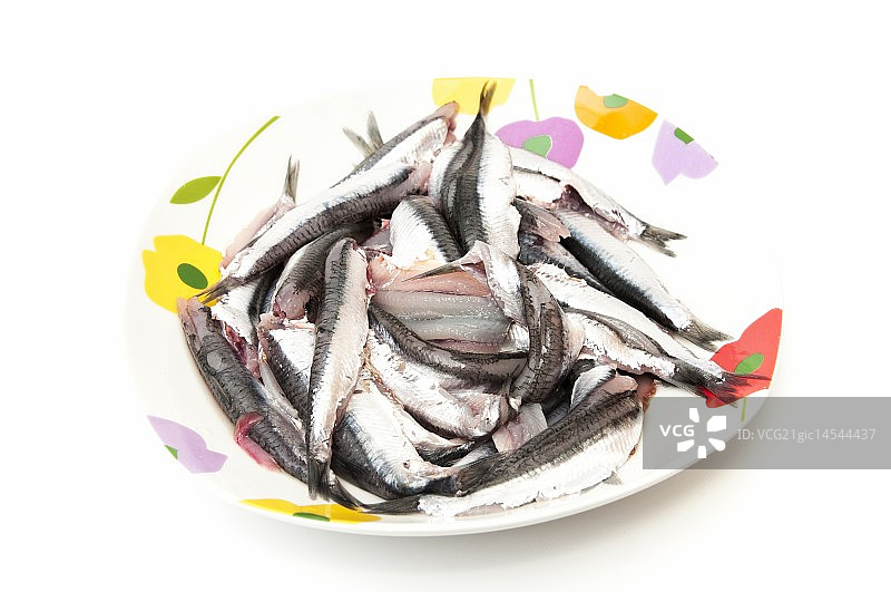 沙丁鱼图片素材