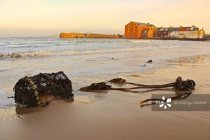 龙虾笼图片素材