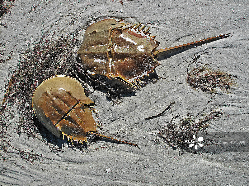爱与死亡图片素材