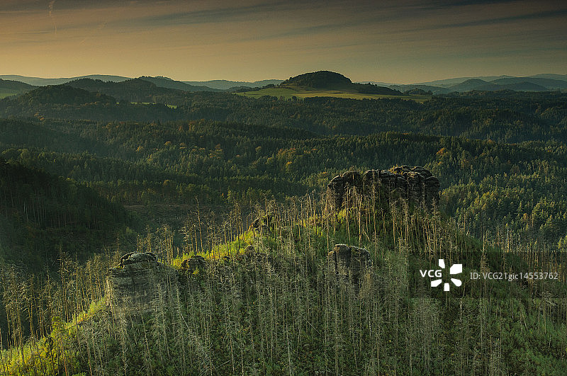 森林中的砂岩图片素材