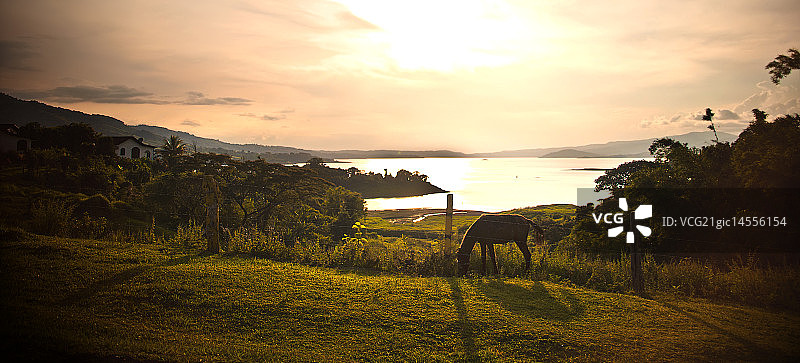 阿雷纳尔湖图片素材