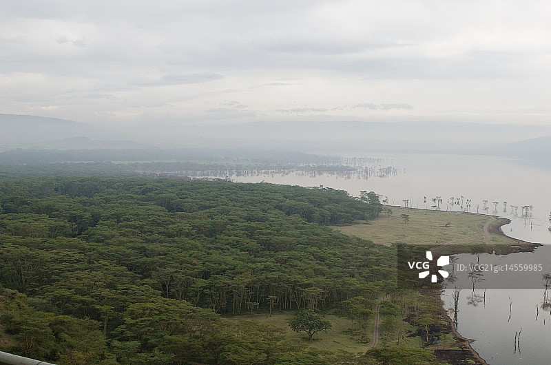 有雾的早晨图片素材