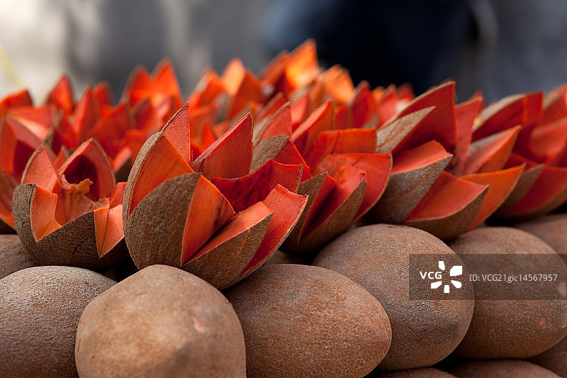 市场上的墨西哥山榄图片素材