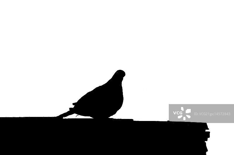 Mourning那里图片素材